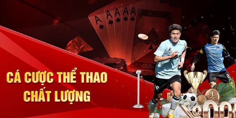 IM là sảnh cá cược thể thao uy tín và cực chất lượng