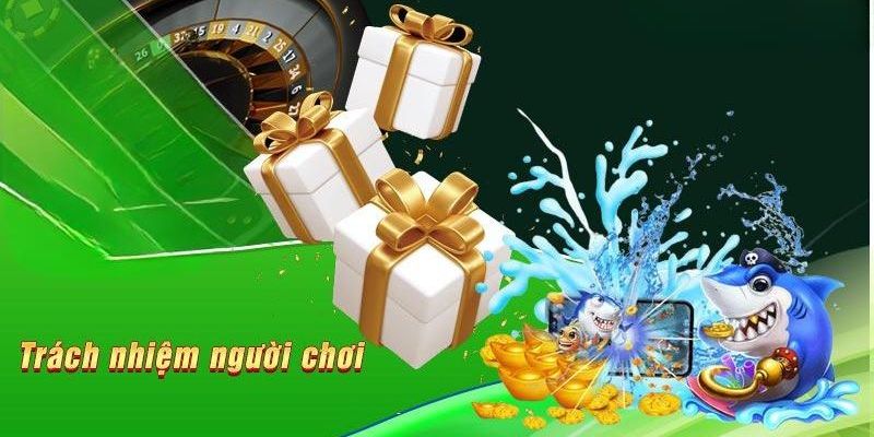 Thông tin chi tiết về trách nhiệm người chơi được quy định tại 789Win